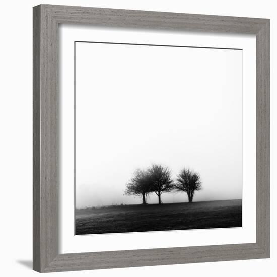 3 Trees in Fog-Rory Garforth-Framed Photographic Print