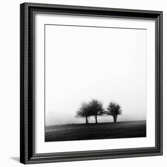 3 Trees in Fog-Rory Garforth-Framed Photographic Print