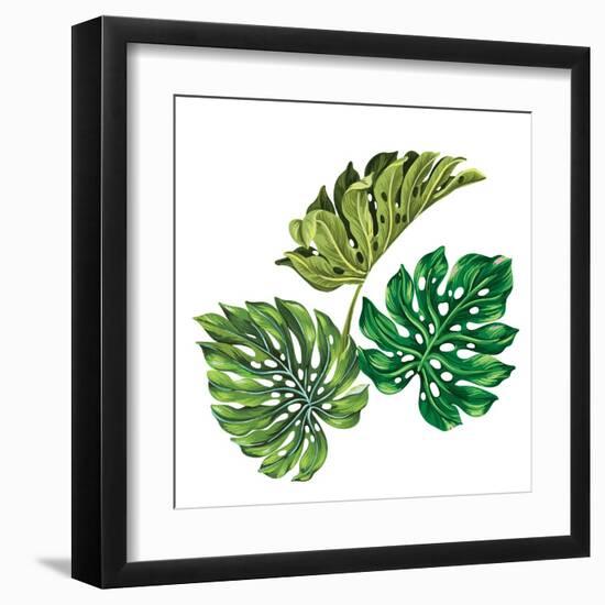 3 Vector Tropical Palm Leaves. Realistic Drawing in Vintage Style. Isolated on White. Monstera Leav-rosapompelmo-Framed Art Print