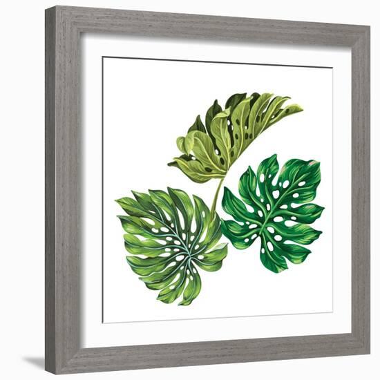 3 Vector Tropical Palm Leaves. Realistic Drawing in Vintage Style. Isolated on White. Monstera Leav-rosapompelmo-Framed Art Print