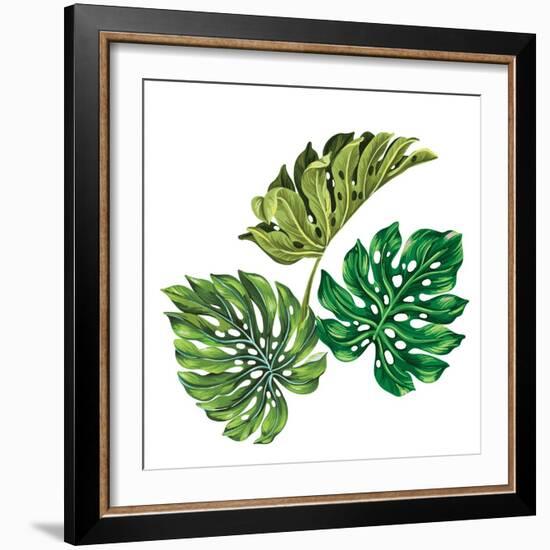 3 Vector Tropical Palm Leaves. Realistic Drawing in Vintage Style. Isolated on White. Monstera Leav-rosapompelmo-Framed Art Print