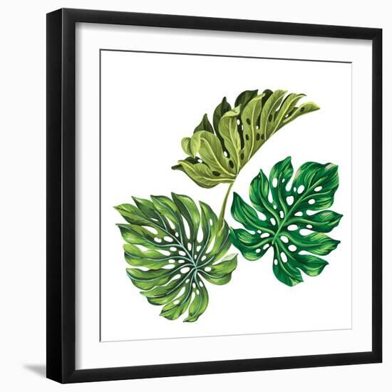 3 Vector Tropical Palm Leaves. Realistic Drawing in Vintage Style. Isolated on White. Monstera Leav-rosapompelmo-Framed Art Print