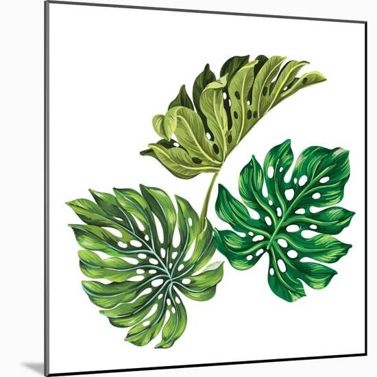 3 Vector Tropical Palm Leaves. Realistic Drawing in Vintage Style. Isolated on White. Monstera Leav-rosapompelmo-Mounted Art Print