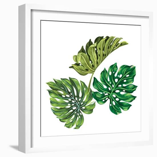 3 Vector Tropical Palm Leaves. Realistic Drawing in Vintage Style. Isolated on White. Monstera Leav-rosapompelmo-Framed Premium Giclee Print