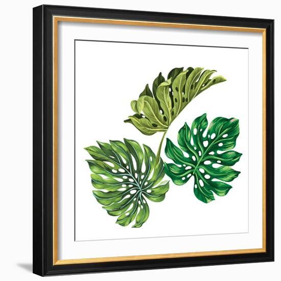 3 Vector Tropical Palm Leaves. Realistic Drawing in Vintage Style. Isolated on White. Monstera Leav-rosapompelmo-Framed Premium Giclee Print