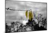 3 Yellow Leaves-null-Mounted Photo