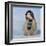 30 Below-Lucia Heffernan-Framed Art Print