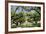 300-Year-Old Oak Trees, Vacherie, New Orleans, Louisiana, USA-Cindy Miller Hopkins-Framed Photographic Print