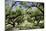 300-Year-Old Oak Trees, Vacherie, New Orleans, Louisiana, USA-Cindy Miller Hopkins-Mounted Photographic Print