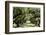 300-Year-Old Oak Trees, Vacherie, New Orleans, Louisiana, USA-Cindy Miller Hopkins-Framed Photographic Print