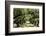 300-Year-Old Oak Trees, Vacherie, New Orleans, Louisiana, USA-Cindy Miller Hopkins-Framed Photographic Print