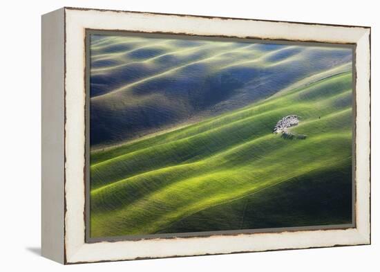 300-Marcin Sobas-Framed Premier Image Canvas