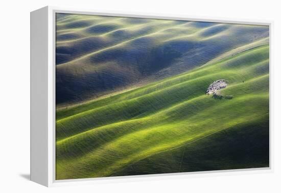 300-Marcin Sobas-Framed Premier Image Canvas