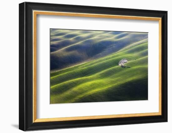 300-Marcin Sobas-Framed Photographic Print