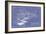 301 Cypress Dr. Blueprint - Inverse-Larry Hunter-Framed Giclee Print