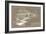 301 Cypress Dr. Sepia - Inverse-Larry Hunter-Framed Giclee Print