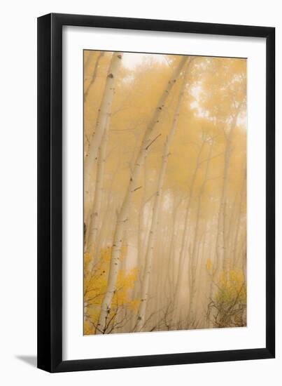 307-Dan Ballard-Framed Photographic Print