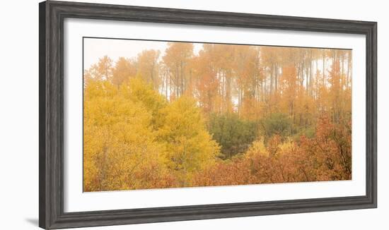 308-Dan Ballard-Framed Photographic Print