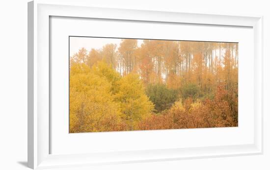 308-Dan Ballard-Framed Photographic Print