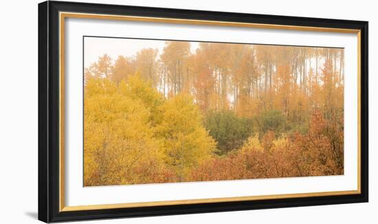 308-Dan Ballard-Framed Photographic Print