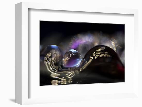 3098_In the purple darkness-Heidi Westum-Framed Photographic Print