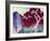 31-Natasha Wescoat-Framed Giclee Print