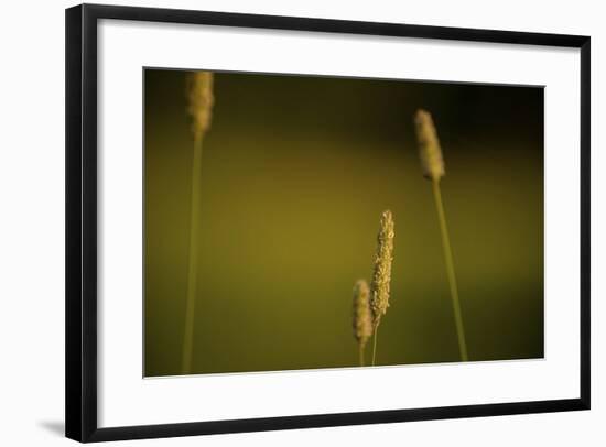 360-Dan Ballard-Framed Photographic Print