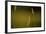 360-Dan Ballard-Framed Photographic Print