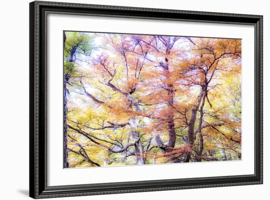 363-Dan Ballard-Framed Photographic Print