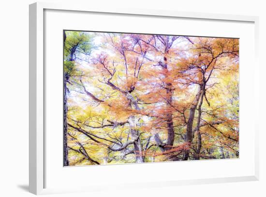 363-Dan Ballard-Framed Photographic Print