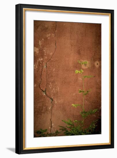 366-Dan Ballard-Framed Photographic Print