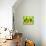 38CO-Pierre Henri Matisse-Giclee Print displayed on a wall