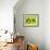 38CO-Pierre Henri Matisse-Framed Giclee Print displayed on a wall