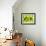 38CO-Pierre Henri Matisse-Framed Giclee Print displayed on a wall