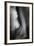 395-Dan Ballard-Framed Photographic Print