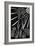 3-Pierre Henri Matisse-Framed Giclee Print