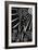 3-Pierre Henri Matisse-Framed Giclee Print