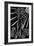 3-Pierre Henri Matisse-Framed Giclee Print