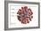 3D illustration of the ultrastructure of the coronavirus, with labels.-Stocktrek Images-Framed Art Print