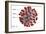 3D illustration of the ultrastructure of the coronavirus, with labels.-Stocktrek Images-Framed Art Print