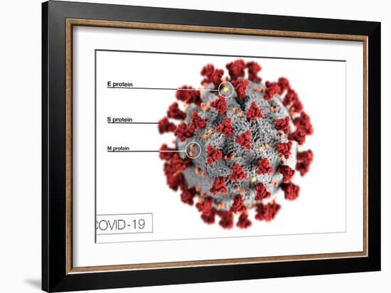 3D illustration of the ultrastructure of the coronavirus, with labels.-Stocktrek Images-Framed Art Print