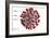 3D illustration of the ultrastructure of the coronavirus, with labels.-Stocktrek Images-Framed Art Print