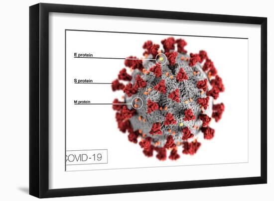 3D illustration of the ultrastructure of the coronavirus, with labels.-Stocktrek Images-Framed Art Print