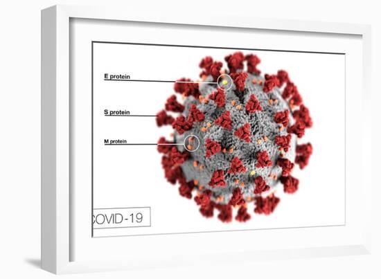 3D illustration of the ultrastructure of the coronavirus, with labels.-Stocktrek Images-Framed Art Print