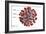 3D illustration of the ultrastructure of the coronavirus, with labels.-Stocktrek Images-Framed Art Print