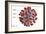 3D illustration of the ultrastructure of the coronavirus, with labels.-Stocktrek Images-Framed Art Print