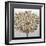 3D Render Picture in Gold Coral-deckorator-Framed Art Print
