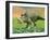 3D Rendering of a Styracosaurus Dinosaur-null-Framed Art Print