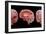 3D Rendering of Human Brain-Stocktrek Images-Framed Art Print