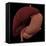 3D Rendering of Liver and Stomach of Human Digestive System-Stocktrek Images-Framed Stretched Canvas